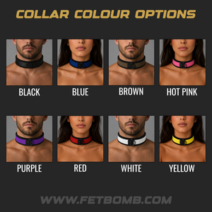 A color-options chart titled 'COLLAR COLOUR OPTIONS' showing eight male and female model neck photos wearing different collar colors: black, blue, brown, hot pink, purple, red, white, and yellow. The chart is on a dark gray background with the website www.