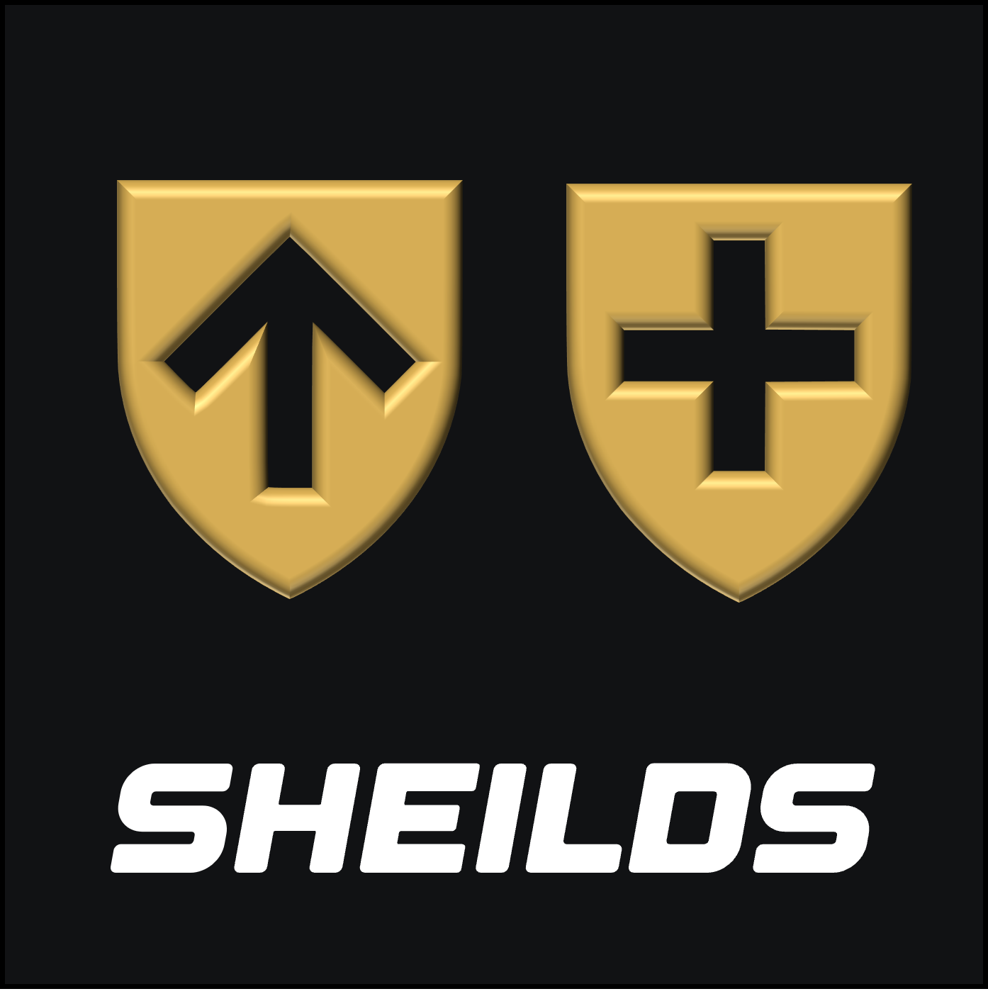 BDSM Symbols: The meaning behind the Gendered Shields