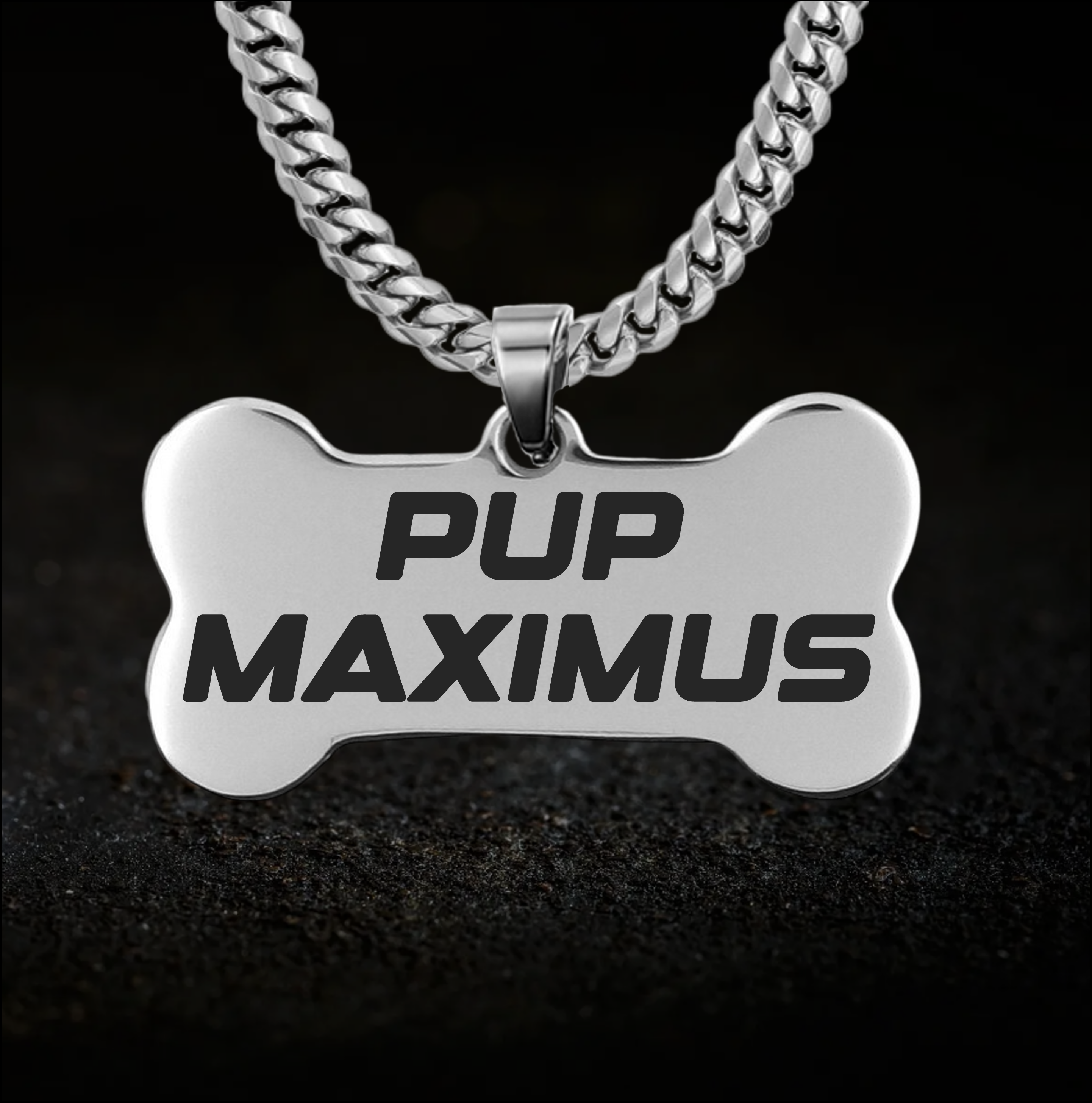 Bold Human Puppy Play Collar